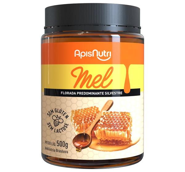 Mel Abelha Apisnutri Pote 500g