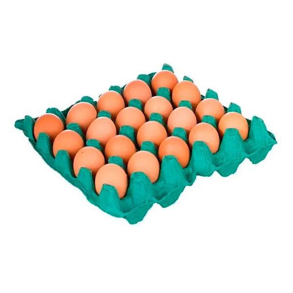 Ovos Gal.Tominaga Verm.C/20