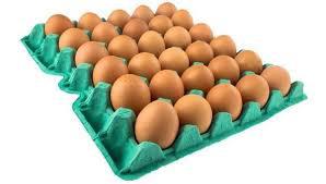 Ovos Gal.Tominaga Verm.C/30