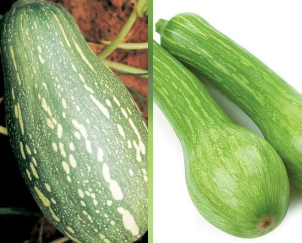 Abobora Kg