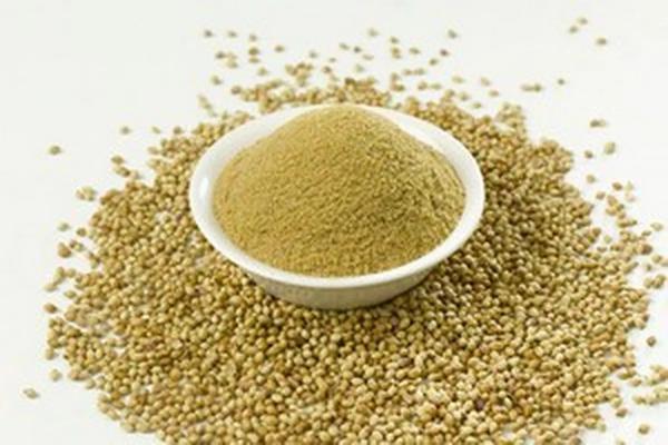 Coentro Em Po Adocica 15 g