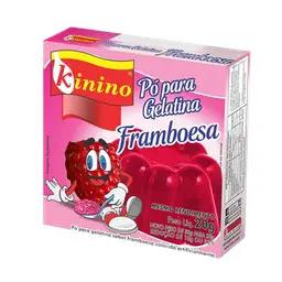 Gelatina Em Po Kinino Framboesa 45g