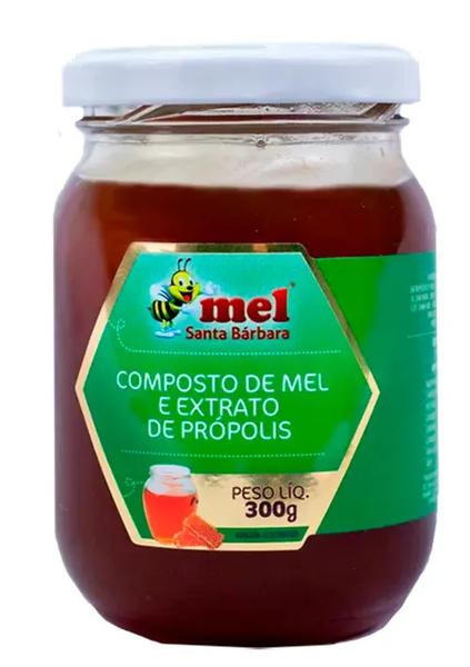 Mel Santa Barbara Propolis 300g