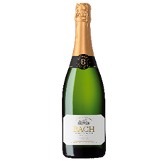 CAVA ESPANHOL BACH 750ML BRUT