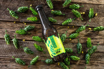 CERVEJA LORD LION 355ML IPA