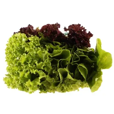 SALADA TRIO II HIDRO