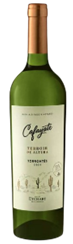 VINHO ARGENTINO CAFAYATE 750ML TORRONTES