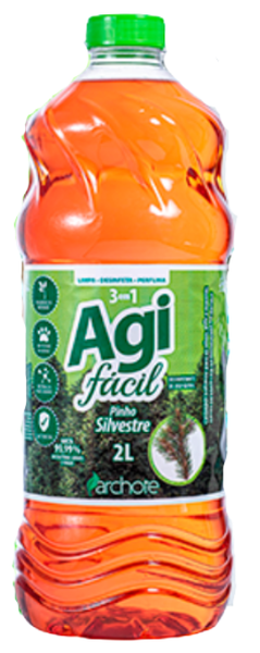 DESINF.AGIFACIL 2L PINHO