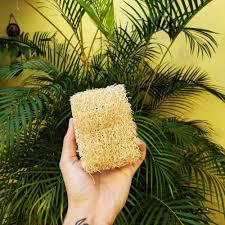 ESPONJA CAMPESINA VEGETAL/MISTA