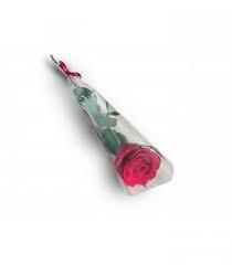 FLOR - BOTAO ROSA UNITARIA