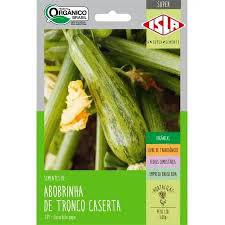SEMENTE ABOBRINHA DE TRONCO CASERTA