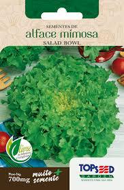 SEMENTE ALFACE MIMOSA SALAD BOWL