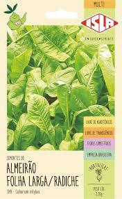SEMENTE ALMEIRAO AMARELO (RADICHE)