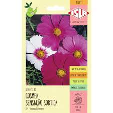 SEMENTE COSMOS-DE-JARDIM COSMEA SENSACAO SORTIDA