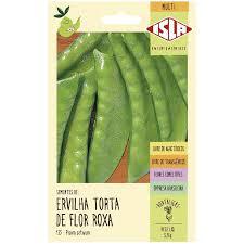 SEMENTE ERVILHA TORTA DE FLOR ROXA