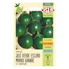 SEMENTE JILO MORRO GRANDE VERDE ESCURO