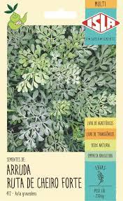 SEMENTE MULTI ARRUDA RUTA DE CHEIRO FORTE