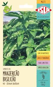 SEMENTE MULTI MANJERICAO BASILICAO