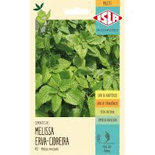 SEMENTE MULTI MELISSA MELISSA ERVA-CIDREIRA