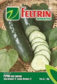 SEMENTE PEPINO VERDE COMPRIDO