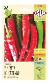 SEMENTE PIMENTA DE CAY ENNE DEDO DE MOCA