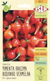 SEMENTE PIMENTA IRACEMA BIQUINHO VERMELHA
