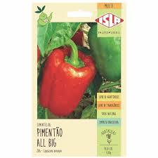 SEMENTE PIMENTAO ALL BIG