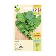 SEMENTE RUCULA CULTIVADA