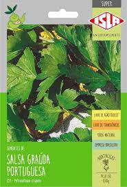 SEMENTE SALSA GRAUDA PORTUGUESA