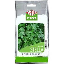 SEMENTE SALSA LISA STELLA