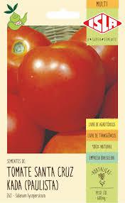 SEMENTE TOMATE SANTA CRUZ KADA (PAULISTA)