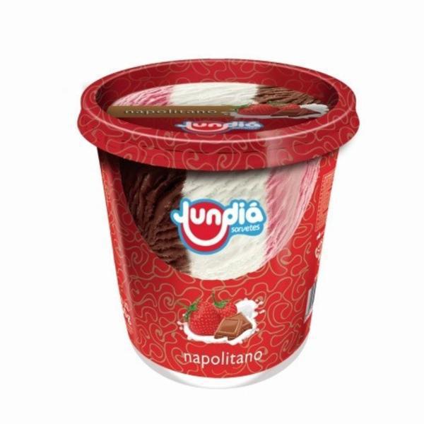 SORVETE JUNDIA COPO 415ML RADICAL NAPOLITANO
