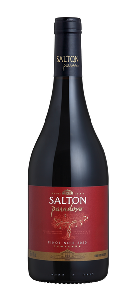 VINHO SALTON PARADOXO 750ML PINOT NOIR