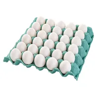 OVOS BRANCOS PENTE AZEVEDO