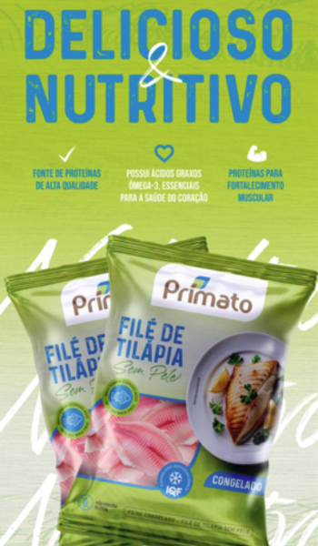 File tilapia Primato