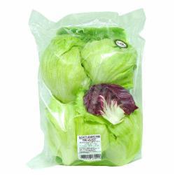 ALFACE MINI HIGIENIZADA WALKER UN