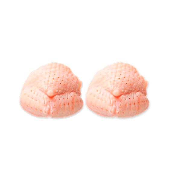 CARNE AVE KG CONGELADA SAMBIQUIRA