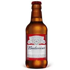 CERVEJA RETORNAVEL 300ML BUDWEISER