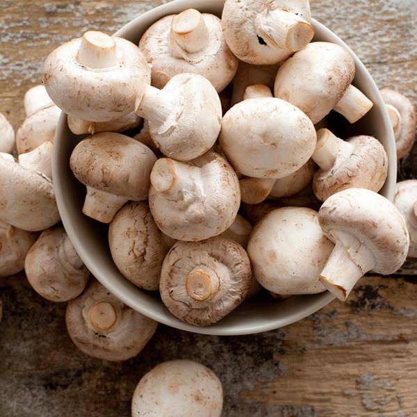 COGUMELO PARIS 200G INTEIRO AMII