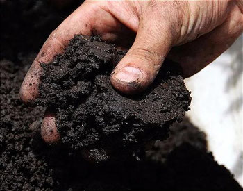 HUMISTO 20KG MINHOCAL