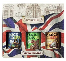 KIT CERVEJA PROVIDENCIA AMERICANO
