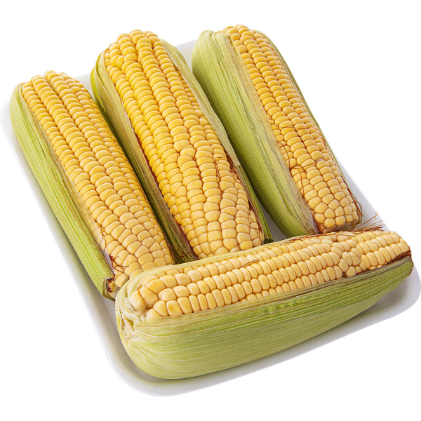 MILHO VERDE 500G BDJ