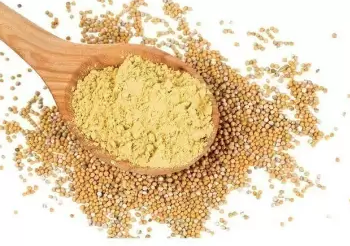 MOSTARDA MOIDA IREMAR 30G