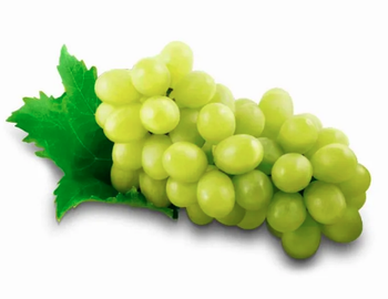 UVA 500G AUTUMN CRISP