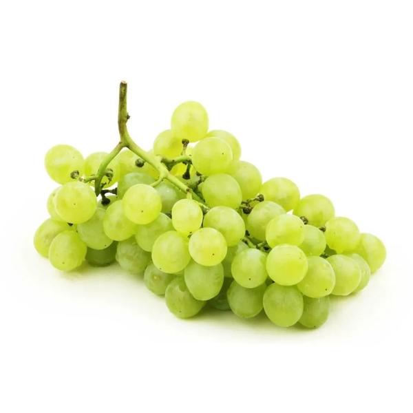 UVA KG AUTUM N CRISP