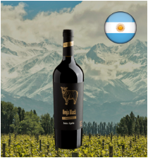 VINHO ARG OVEJA BLACK RESERVA 750ML TINTO C FRANC