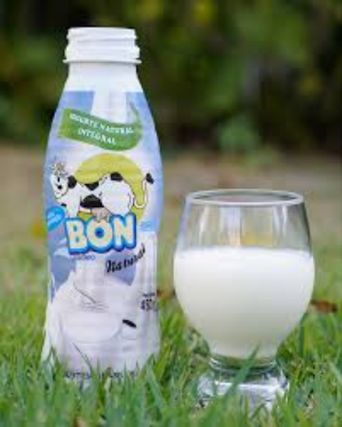IOGURTE INTEGRAL NATURAL BON 450ML