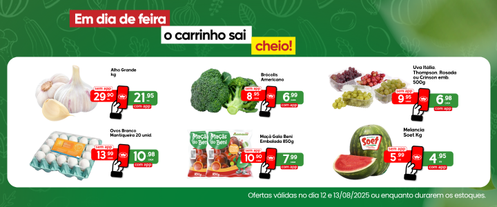 Feirinha 12 e 13/08