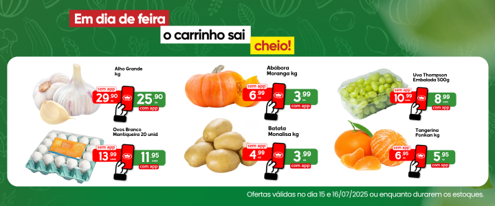 Feirinha 15/07