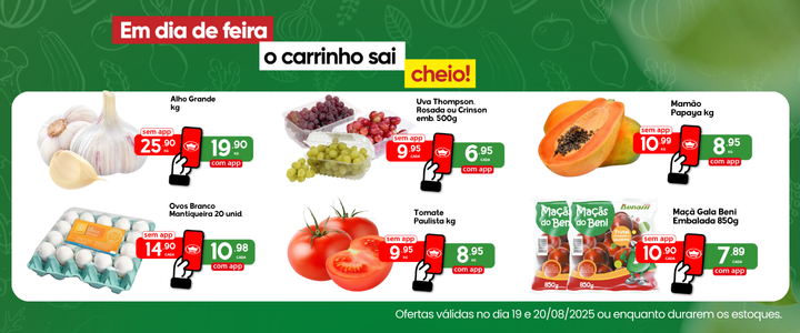 Feirinha 19 e 20/08